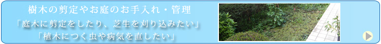 お庭のお手入れをしたい